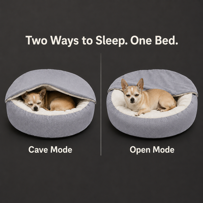 Kova Dog Bed